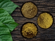  Kratom vlogats 3x50g